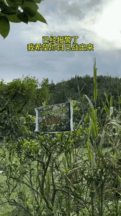 到底是谁做出这么损的事？