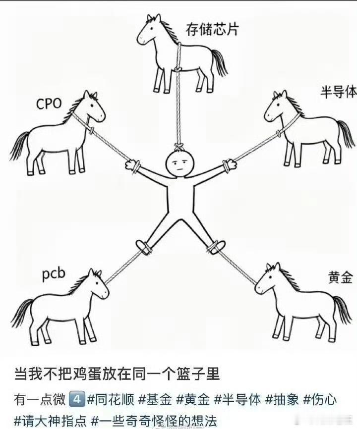 说滴是你吗？