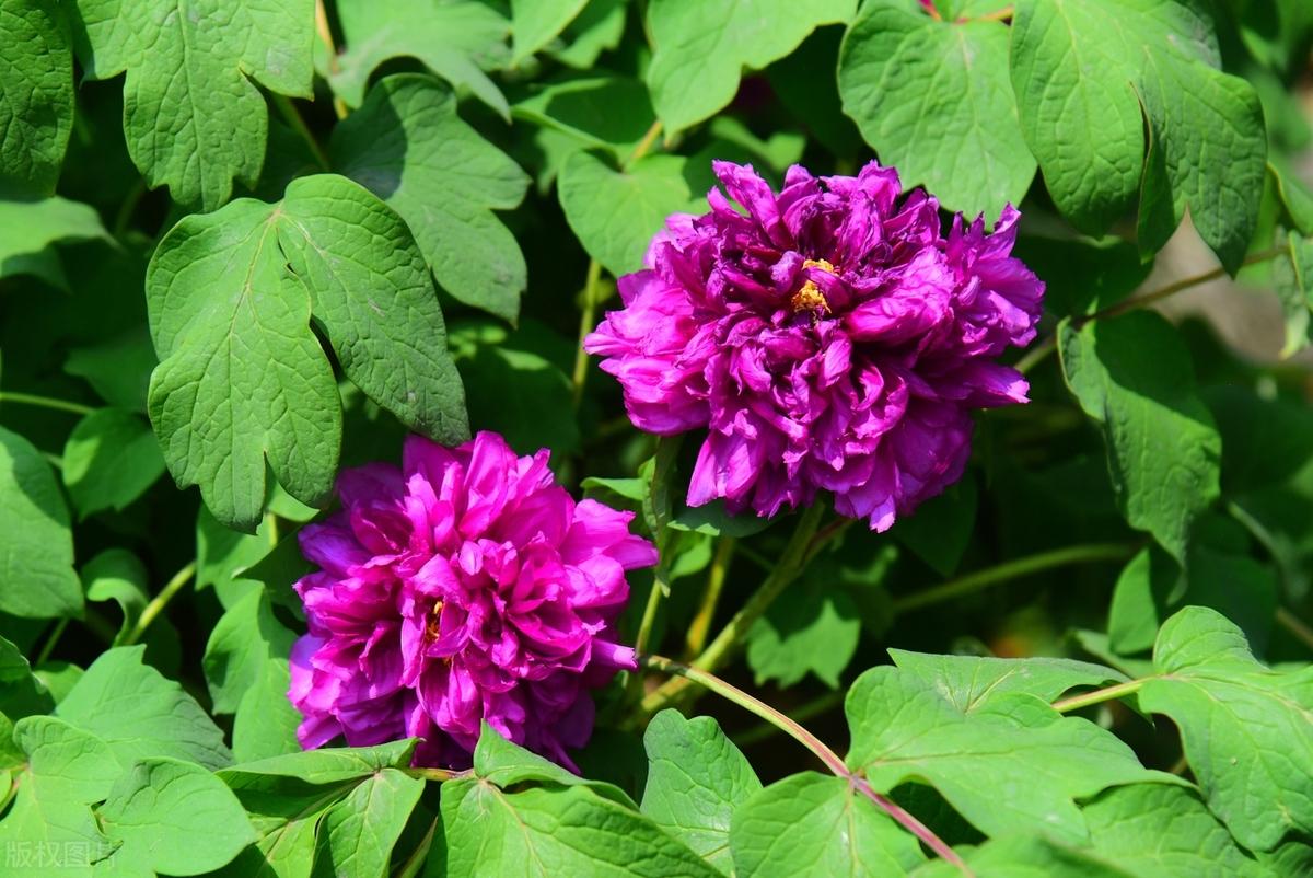 很多时候，人生就是在绝望与希望间徘徊，每一个活着的正常人，都会给自己一个目标，且