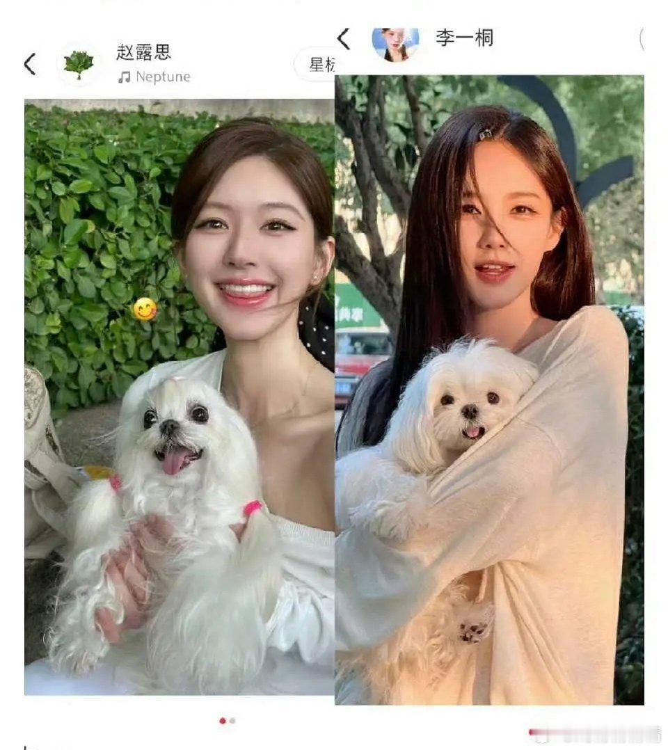 赵露思和李一桐抱狗狗微笑照[抱抱]​​​