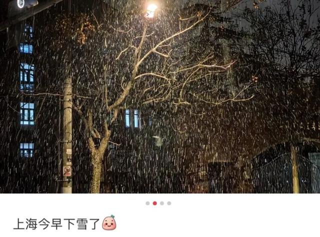 一觉醒来, 上海下雪了! 多区雪量惊人! 会重现2008年吗?