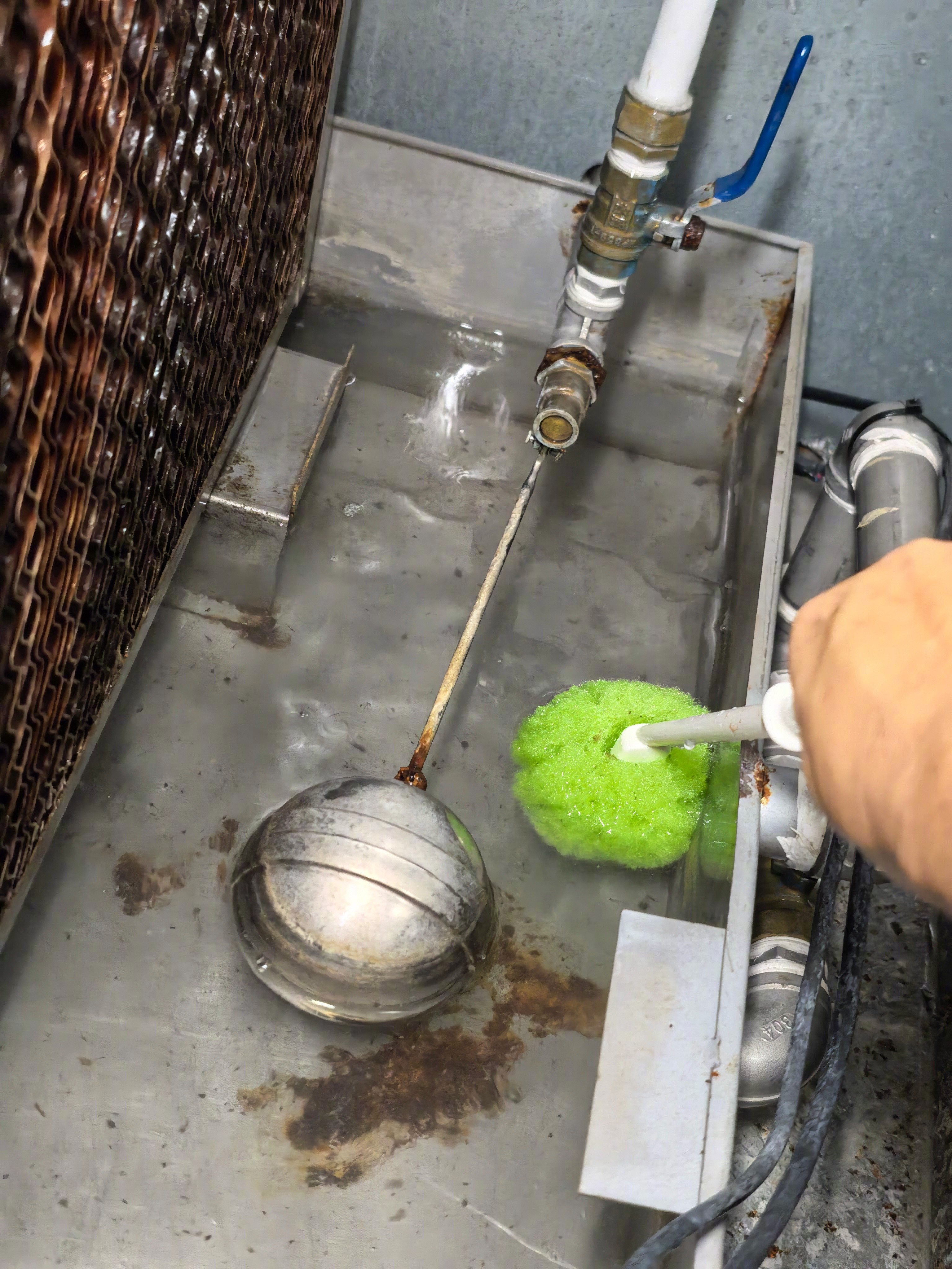 北京已经开始挺冷了,家里地源热泵制暖已经打开了,一升温,屋里瞬间湿度就降下来了。