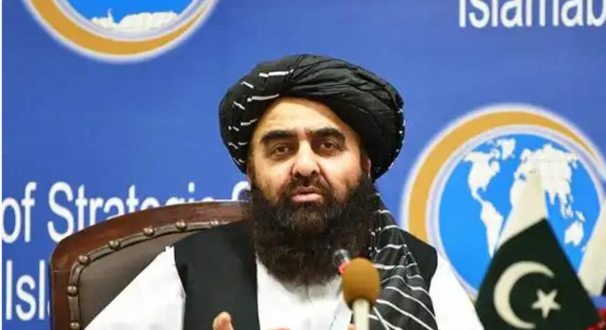 当初不听中国好言相劝，如今被巴铁痛揍死伤上千，阿富汗打通中方电话立下保证，希望中