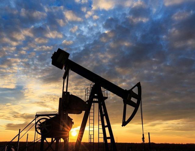 1981年，迪拜大王子拉希德出生在坐拥无尽石油财富的王室家族。作为酋长穆罕默德与