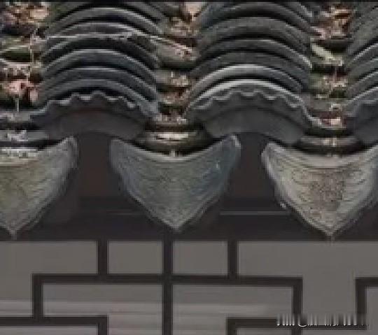 &石湖：2026苏州花展正值盛花期，郁金香和樱花铺成花毯，是拍“莫奈花园”。