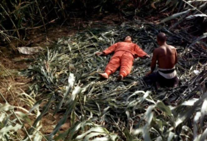 1987年，张艺谋筹拍《红高粱》，花了四万块钱，请当地农民种100亩红高粱，并且