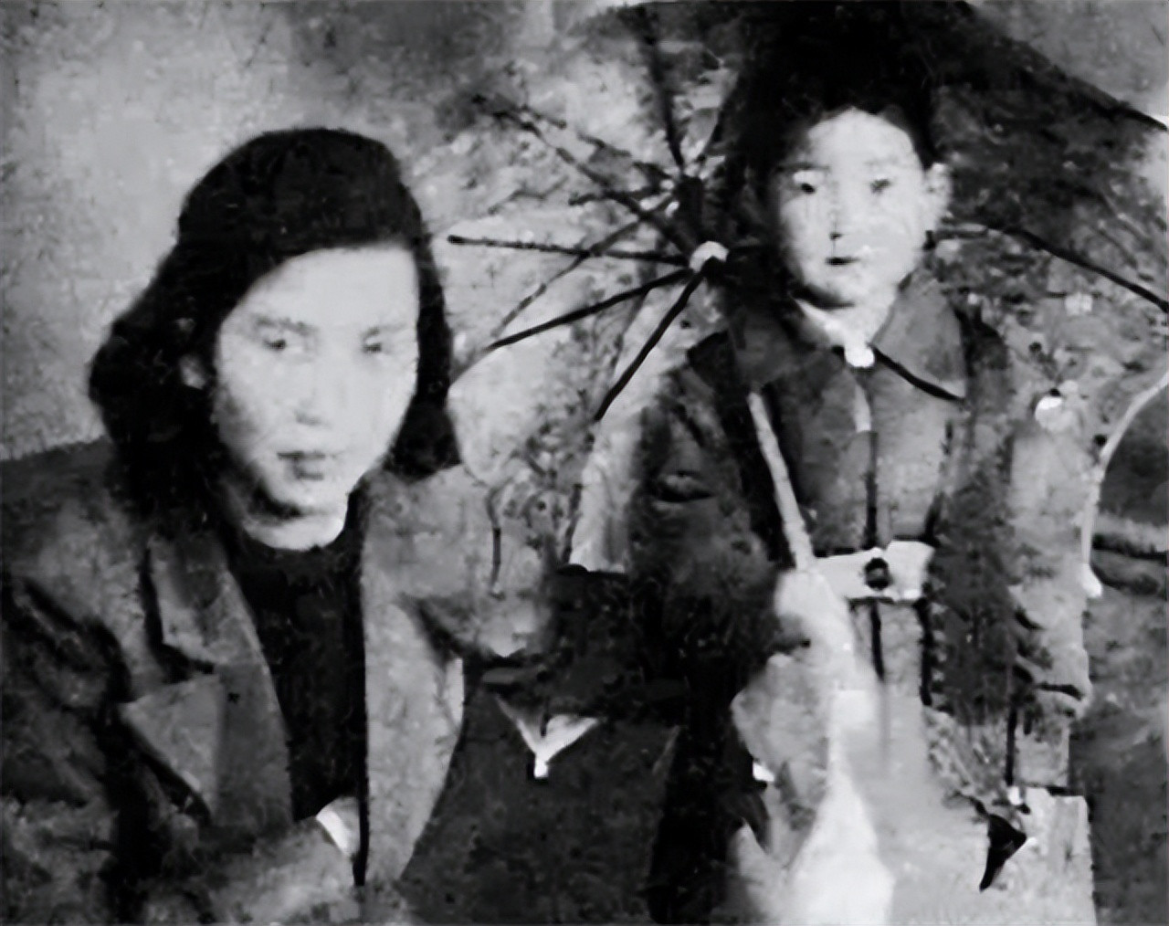 毛主席有多少个子女？去向如何？毛主席一生育有10个子女，其中与杨开慧育有3子，与