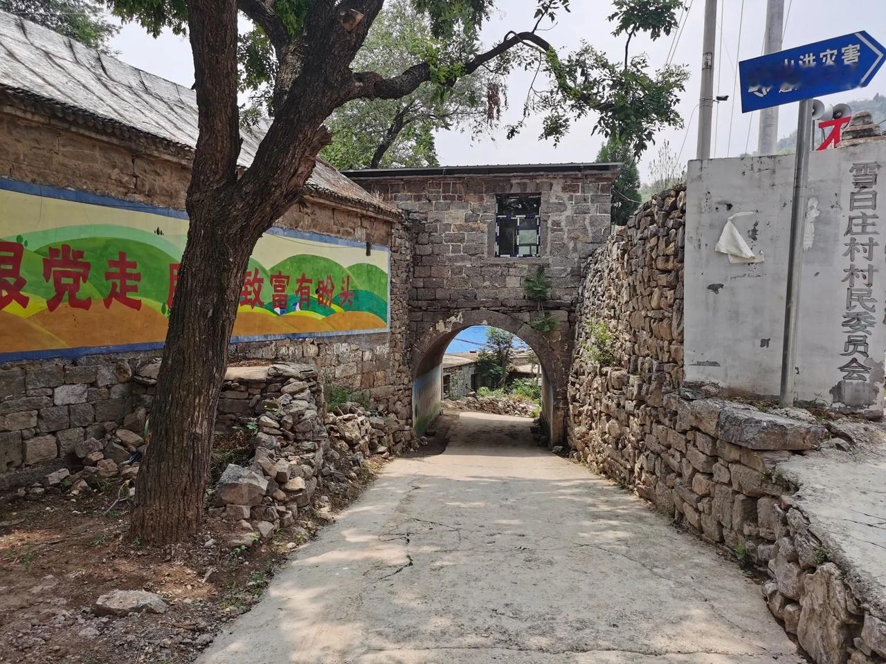 为什么说提高农村老人养老金待遇是今后一段时间的重要任务？目前全国各地农村老人养