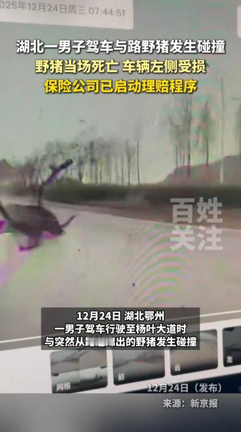 “防不胜防！”12月24日，湖北鄂州，一男子开车行驶在路上时，突然听到车子传出一