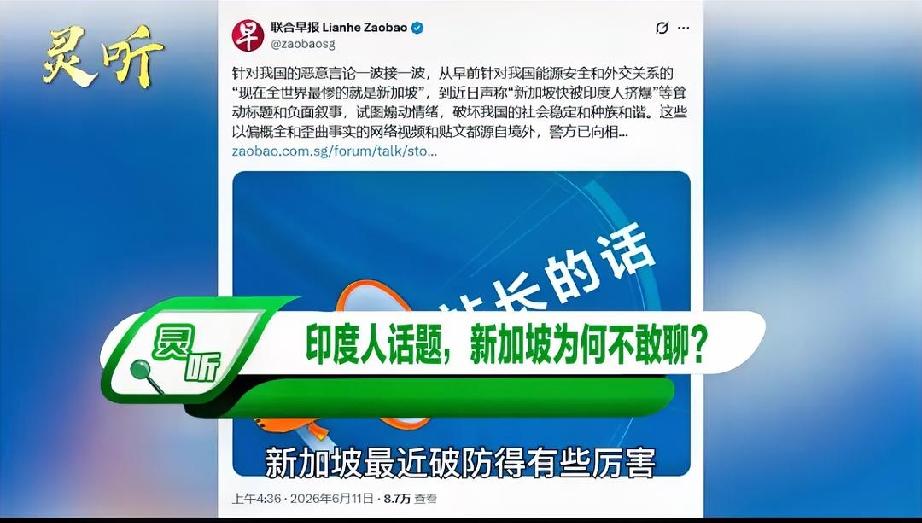 “新加坡和中国是两个国家，没有任何关系，请新加坡人不要干什么都扯中国，不要用汉字