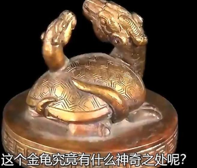 一大爷抱着“乌龟”来鉴宝，声称有人出价2个亿购买，不料，专家鉴定后的一句话，竟然