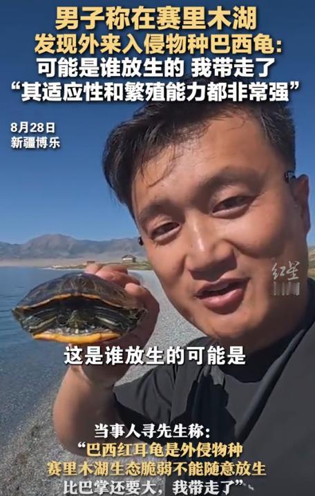 ”影响太坏了！“新疆博乐，一男子在赛里木湖边发现了一只乌龟，捡起来仔细端详之后忍