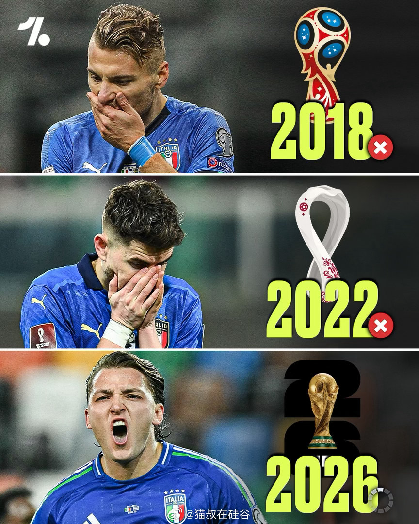 蓝衣军团打入了世界杯!可惜今天意大利穿白色。。。从比赛进程来说，波黑也该获胜。意