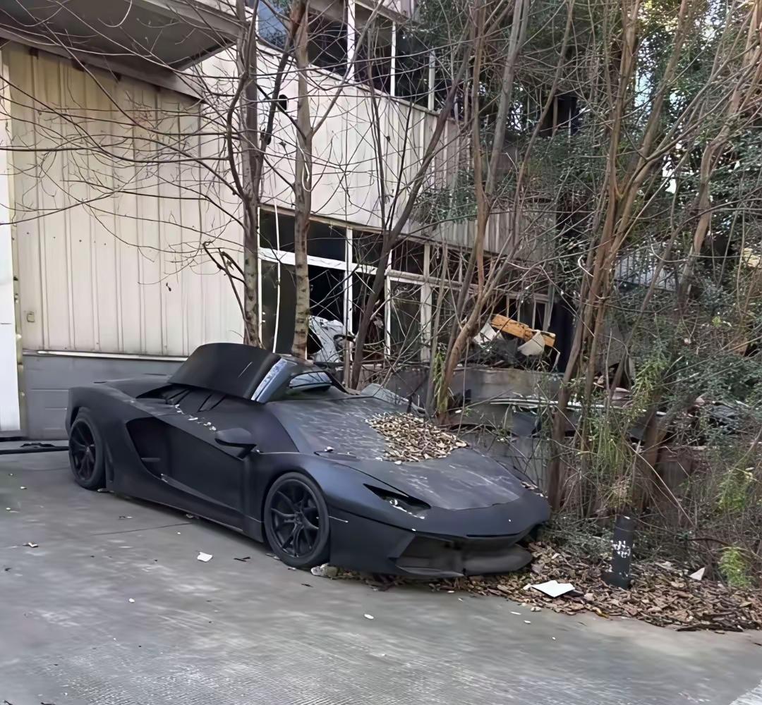 天哪，这辆车到底经历了什么？被荒废在室外，任由风吹雨打。有网友猜测，它的主人要