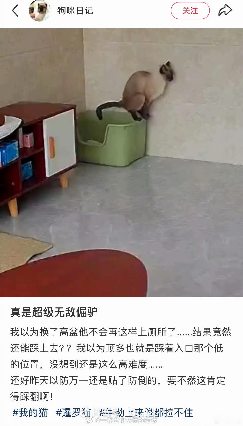 哈哈哈哈哈哈哈哈哈哈哈，超级无敌倔强的小猫咪​​​