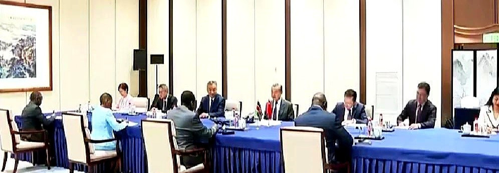 中尼外长见面聊安全---咱们中国人在尼日尔可真是让人揪心