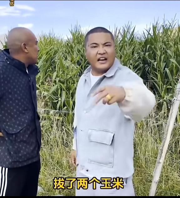 我发现一件很有意思的事，既离谱又可笑。有个小偷，跑到别人的玉米地里偷玉米，还