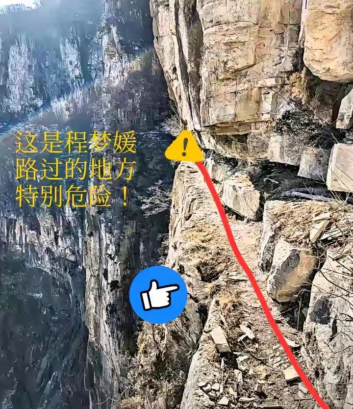 百米悬崖之下，树杈上悬挂，22岁女孩悲壮离世，太多的不理解，读不懂，要我看，女孩