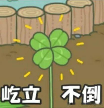 提到易烊千玺第一时间想到王俊凯王源三小只的绑定就是这么权威！说易烊千玺必然带王俊