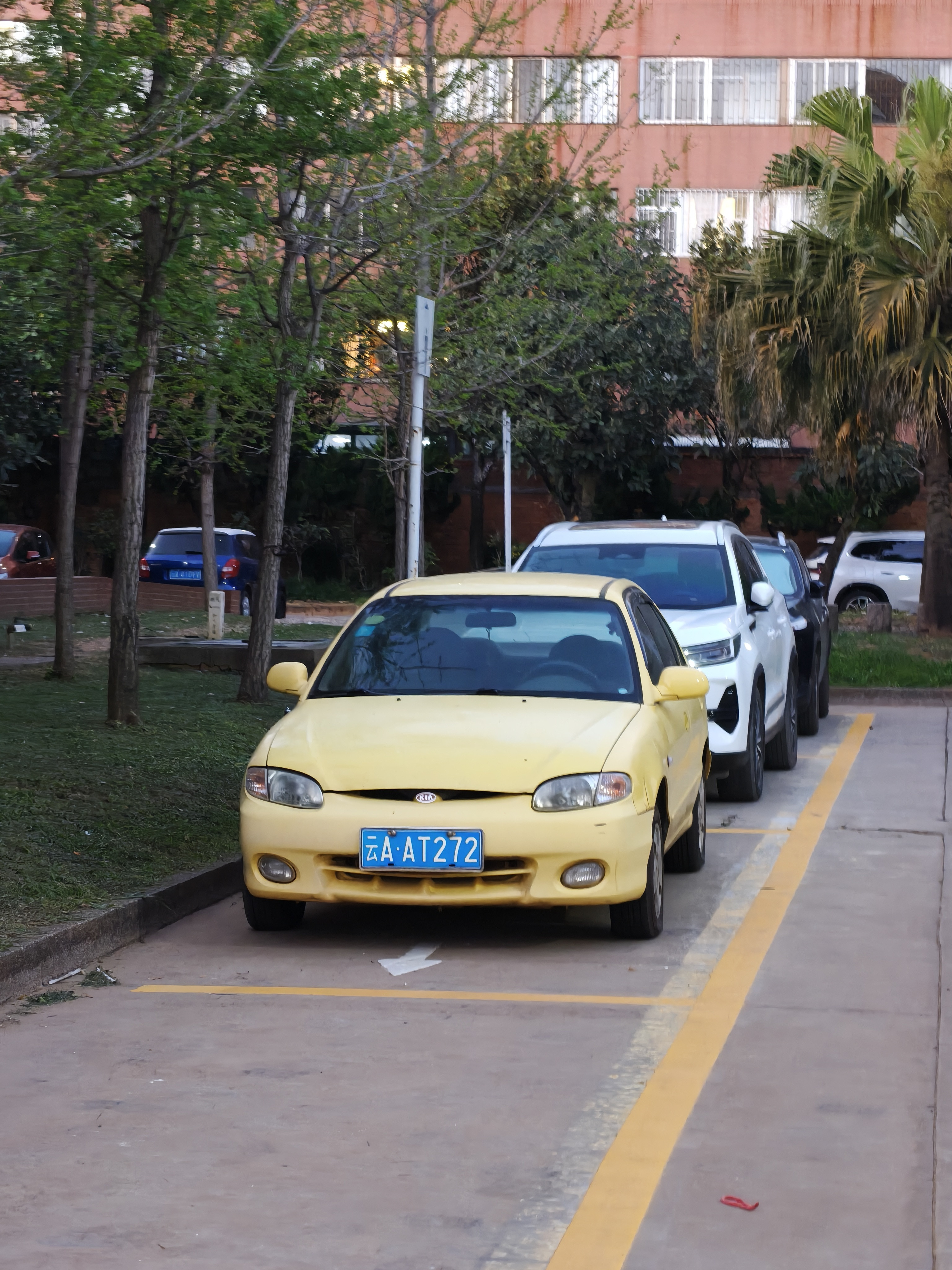 怎么一转眼又要到周五了，到大学校园里转转，发现两个千里马，还有类似于图4-5这种