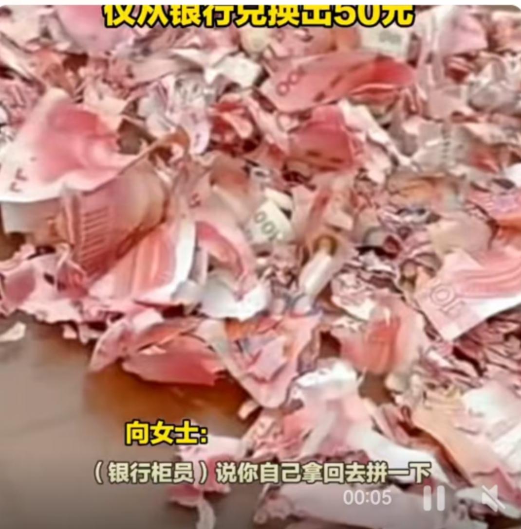 3月12日，浙江宁波的向女士在家里搞卫生，在一个不起眼的角落里发现了一包“纸屑”