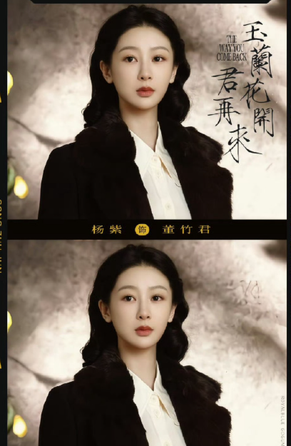 杨紫身着剪裁得体的素色旗袍（如浅紫、米白），领口点缀珍珠或中式盘扣，线条简洁流畅