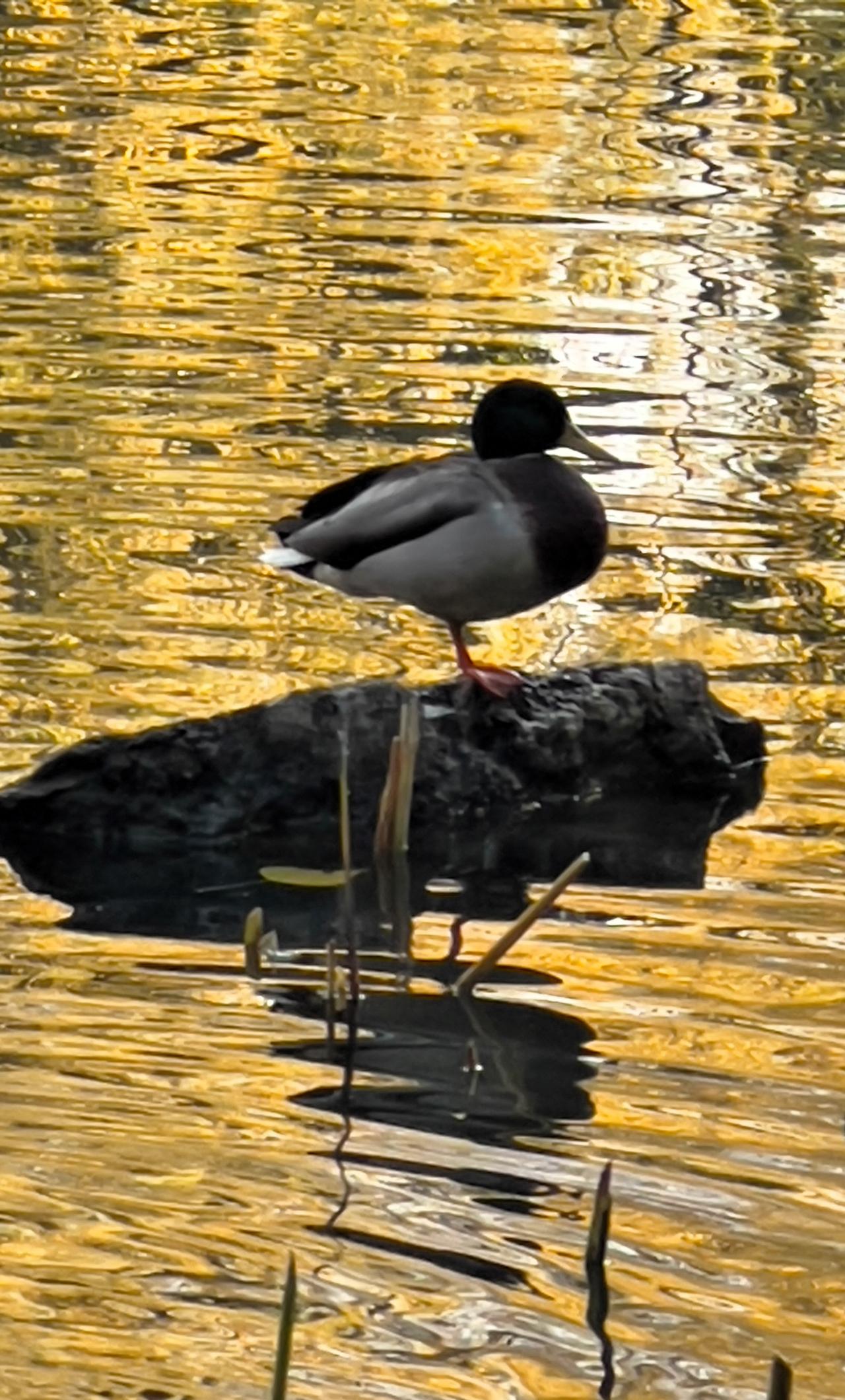 人到了一定年纪，特别是退休以后，才慢慢读懂生活的真谛：最好的活法，从来不是向外追