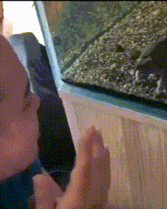 你俩谁学谁呢？