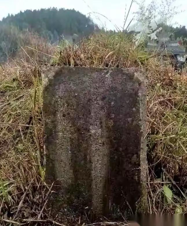 “在深圳混得风生水起的‘周总’，回贵州老家为父亲迁坟。纯属顺手，她把旁边一座孤零