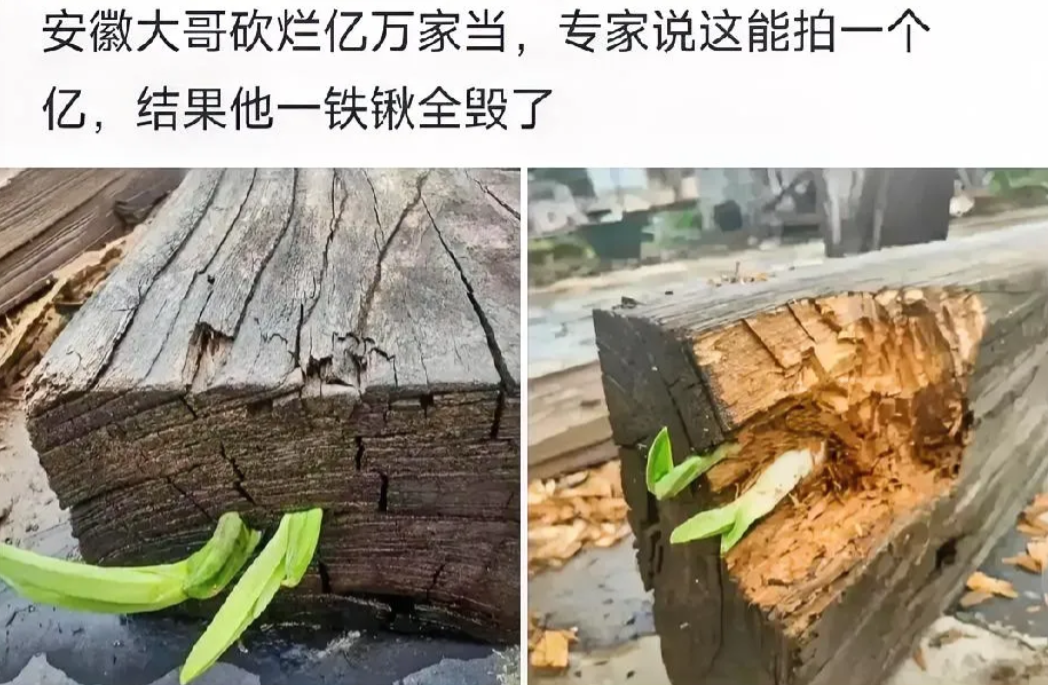 可惜砍坏了，不然我出100亿