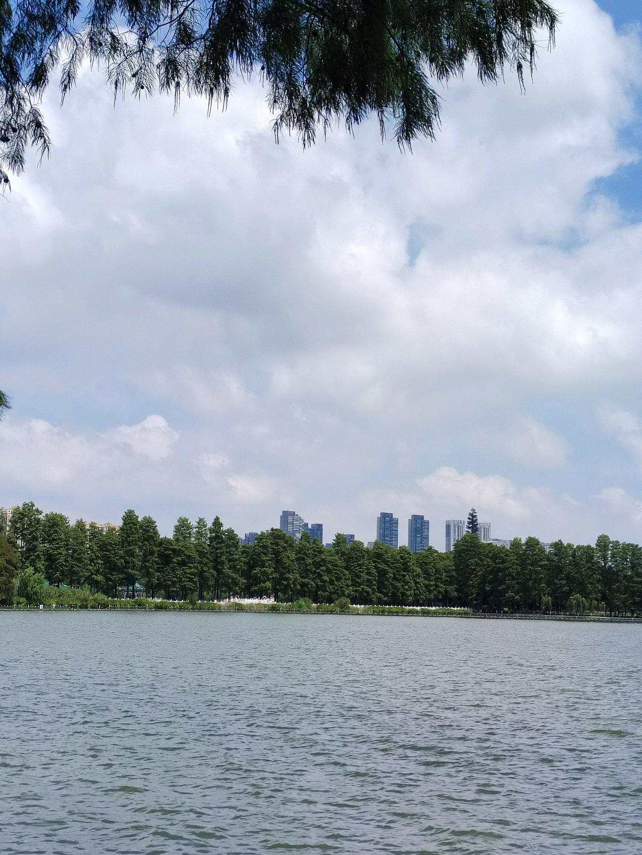 我以后会和儿子说死后不要守灵不要讲排场亲身经历家里的几位亲人离世。