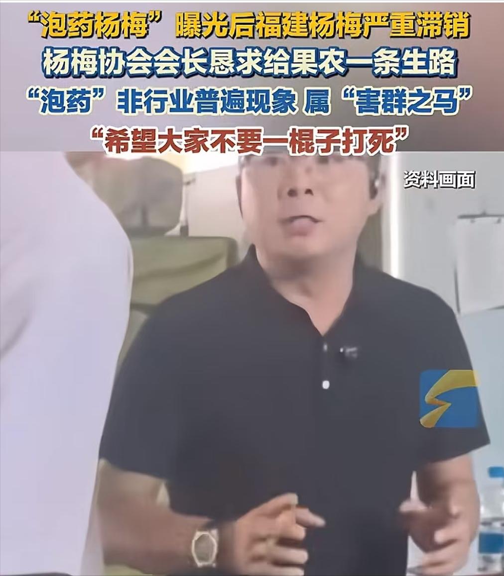 孩子没了，奶来了。福建杨梅协会会长恳求给果农一条生路，不要一竿打翻一船人。在