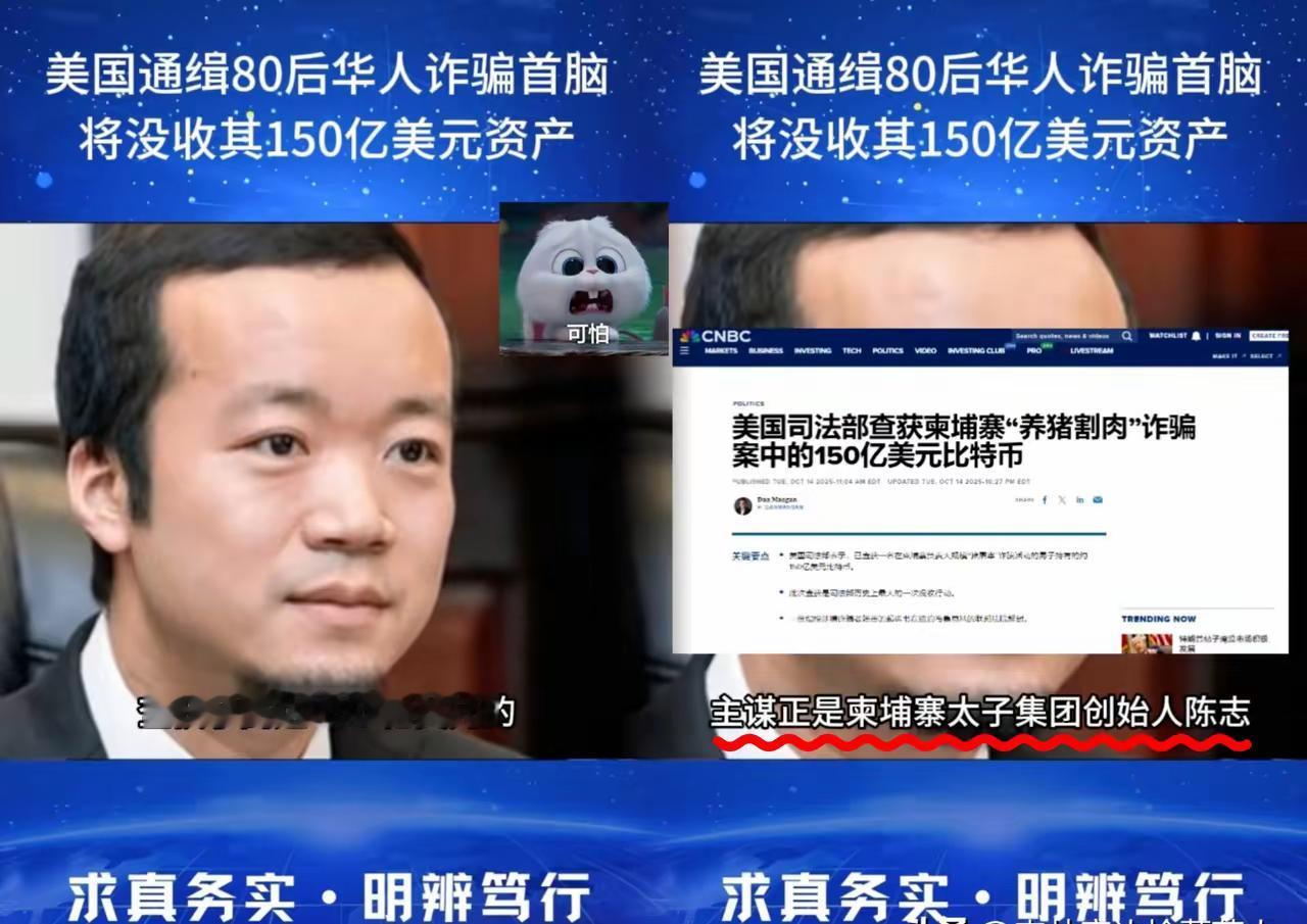 陈志，中国福建人，柬埔寨电诈首富，诈骗园区幕后老板，当事国管不了的情况下，世界警