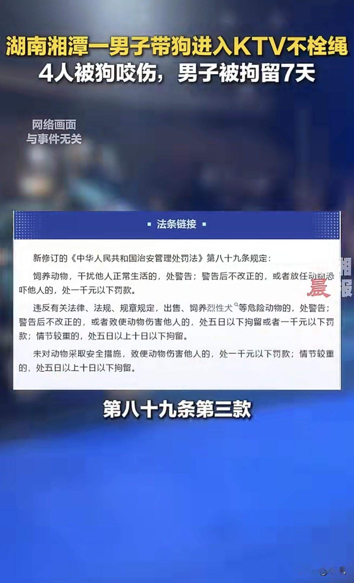 KTV里，歌声正嗨，一条没拴绳的大狗突然发狂，见人就咬。一晚上，四个客人被咬伤送