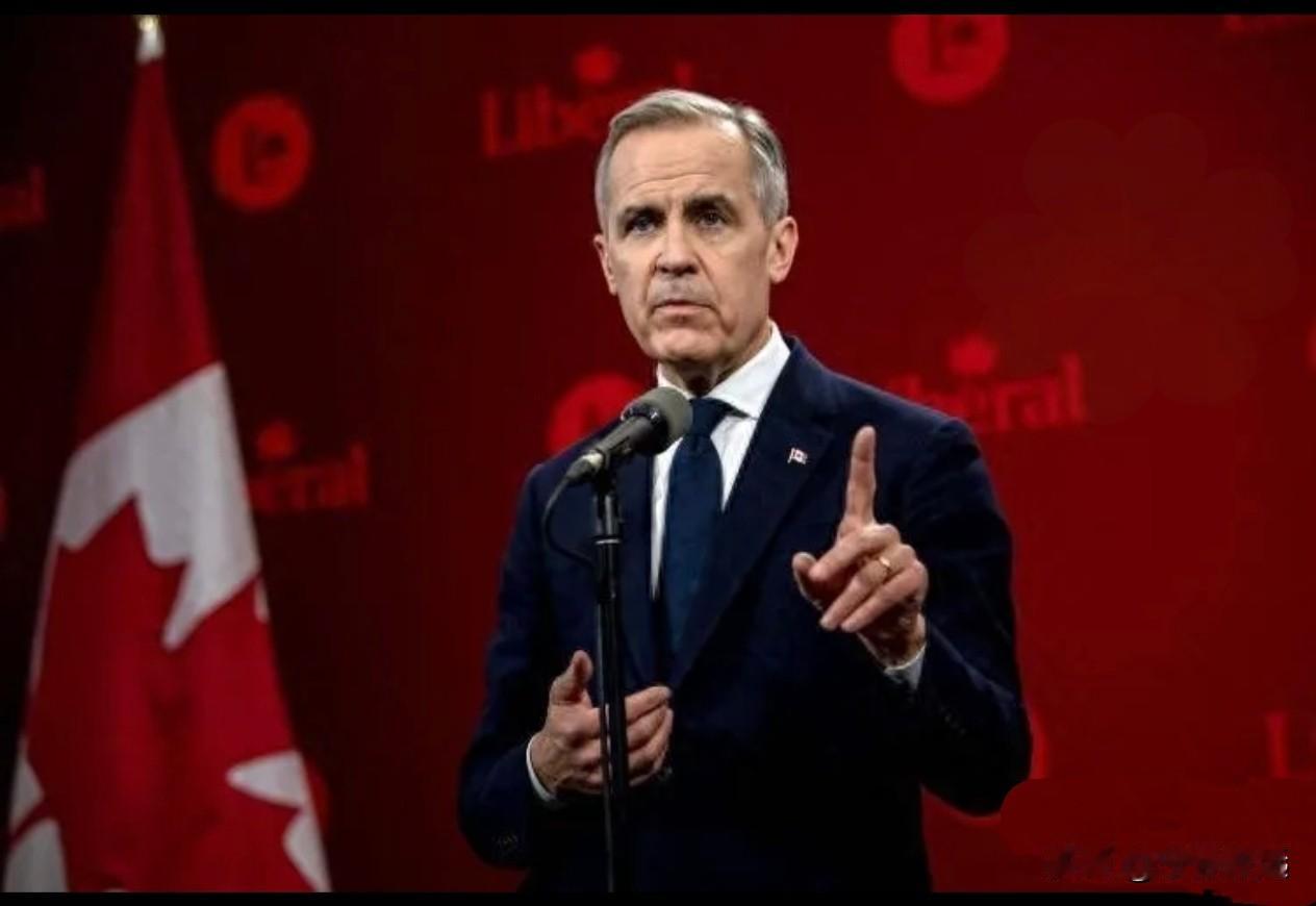 从100%关税到6.1%！中加“电车换油菜籽”落地，美国拦不住的互补共赢。中