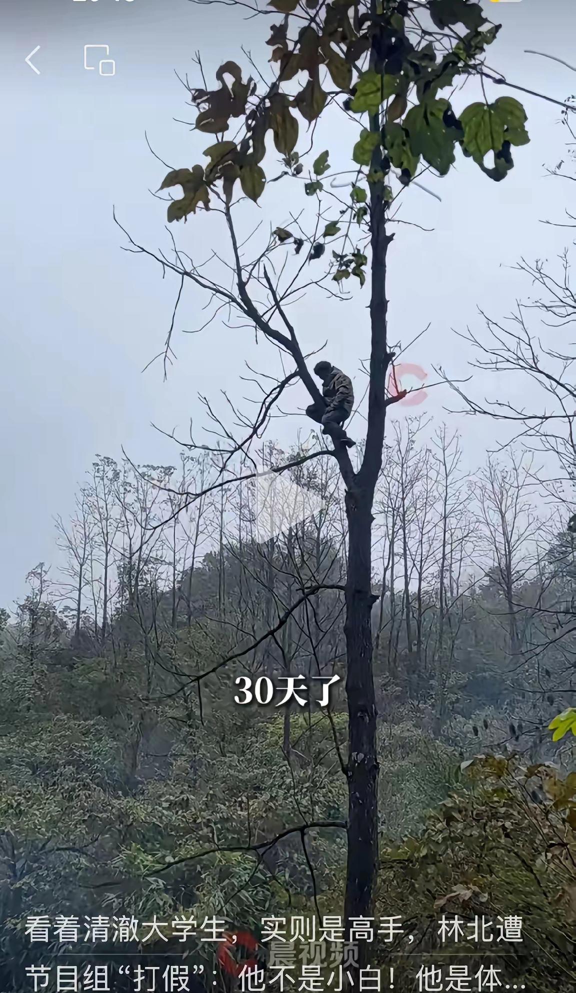 “医学生秒变体育生！”荒野求生里，林北憨笑藏拙，结果柴火捡双倍、大木轻松扛，还爬