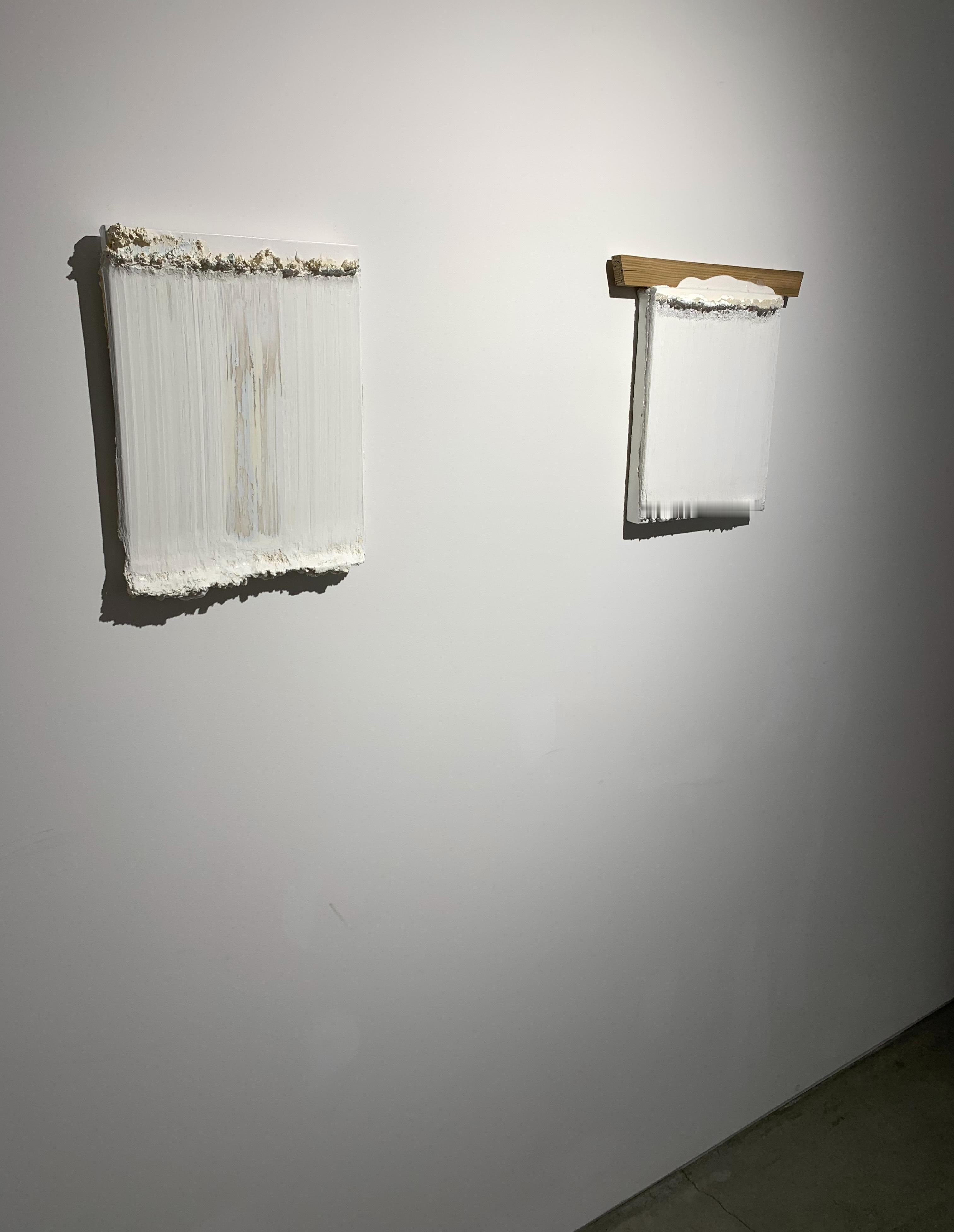 INS更新孙允珠孙允珠