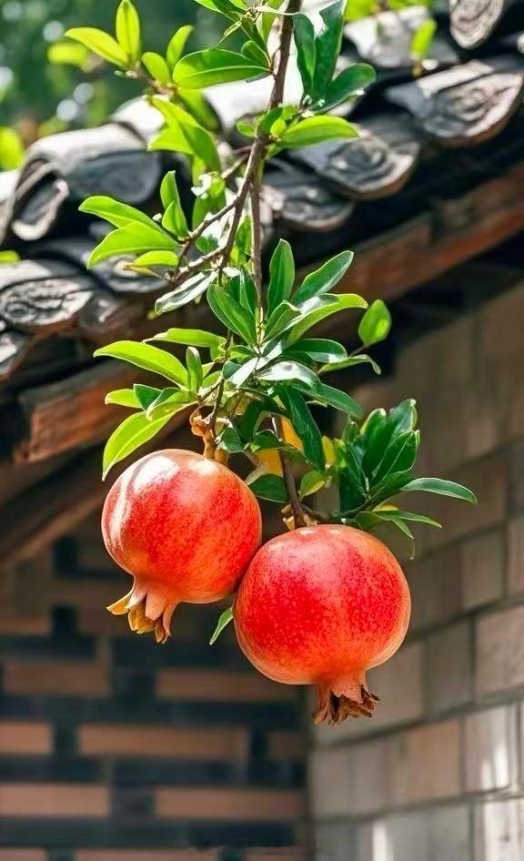 在交易的世界里，勤奋不等于回报，甚至常常成反比。每天熬夜盯盘、研究几十个指标、频