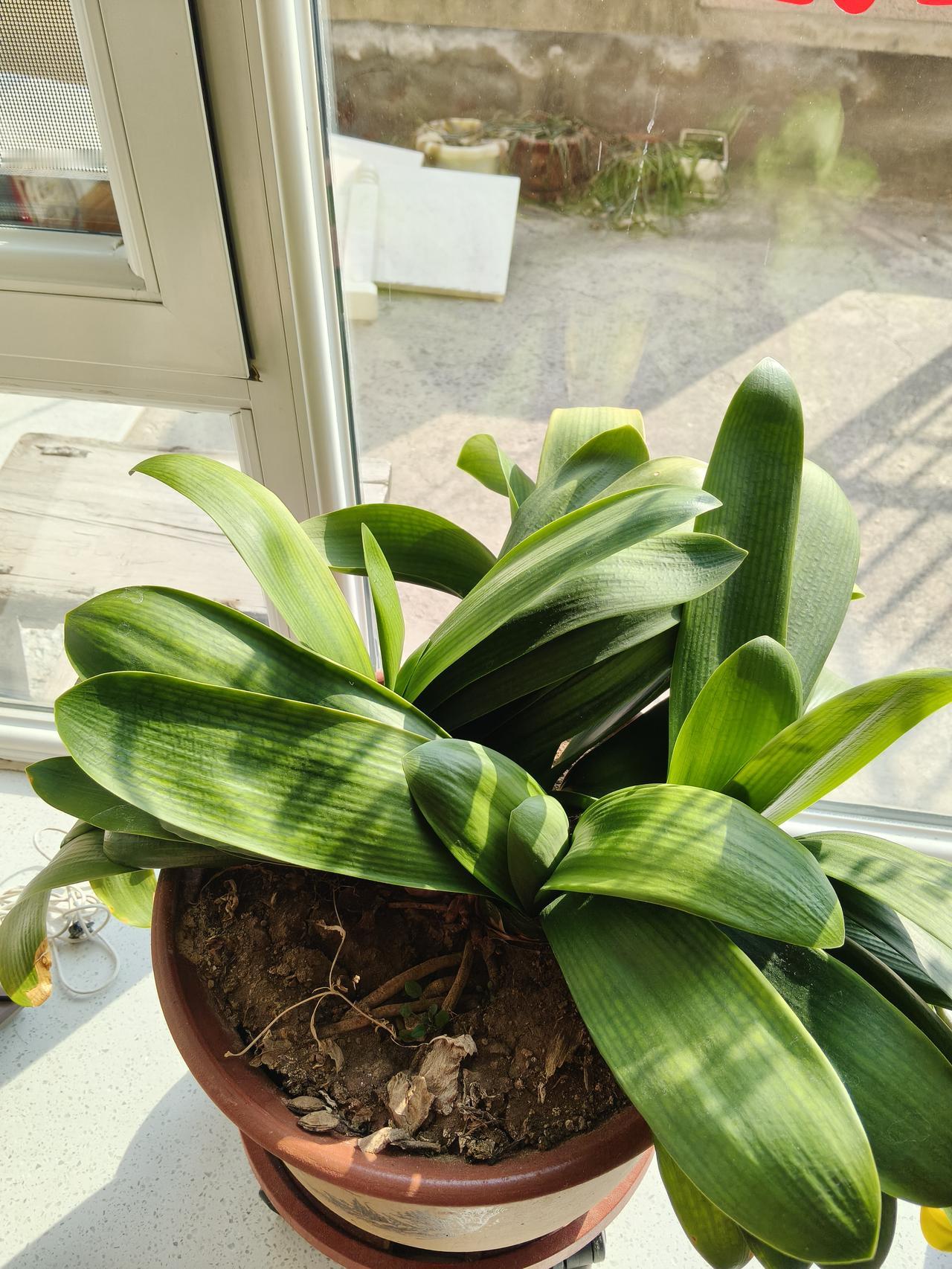 五代十国时期的叛将有多凶狠？皇甫晖是后唐魏博的一名小校，为人骁勇且无赖。上级