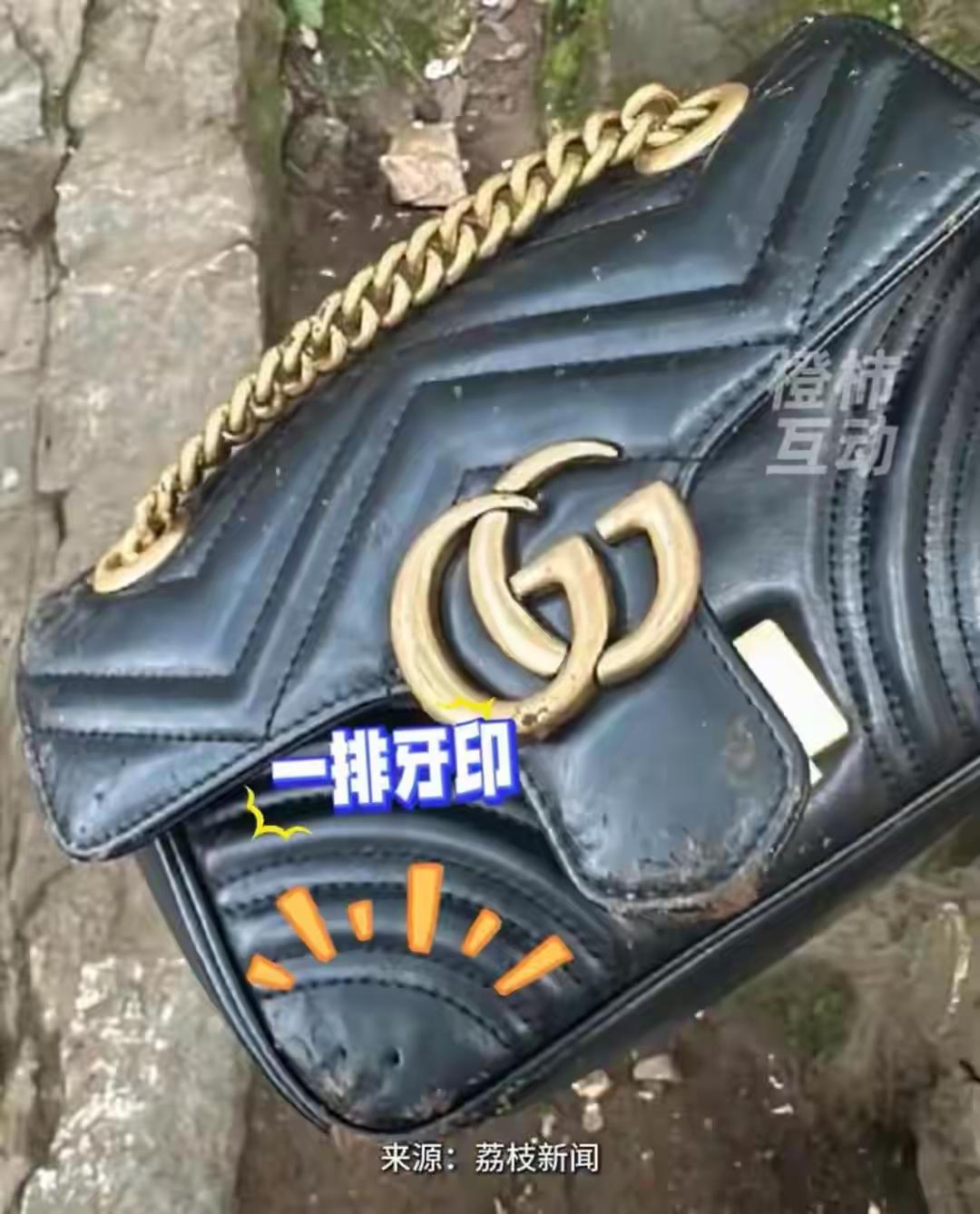 近日，有网友发帖称自己在贵阳黔灵山公园游玩时，被景区内猴子突袭抢走GUCCI包，