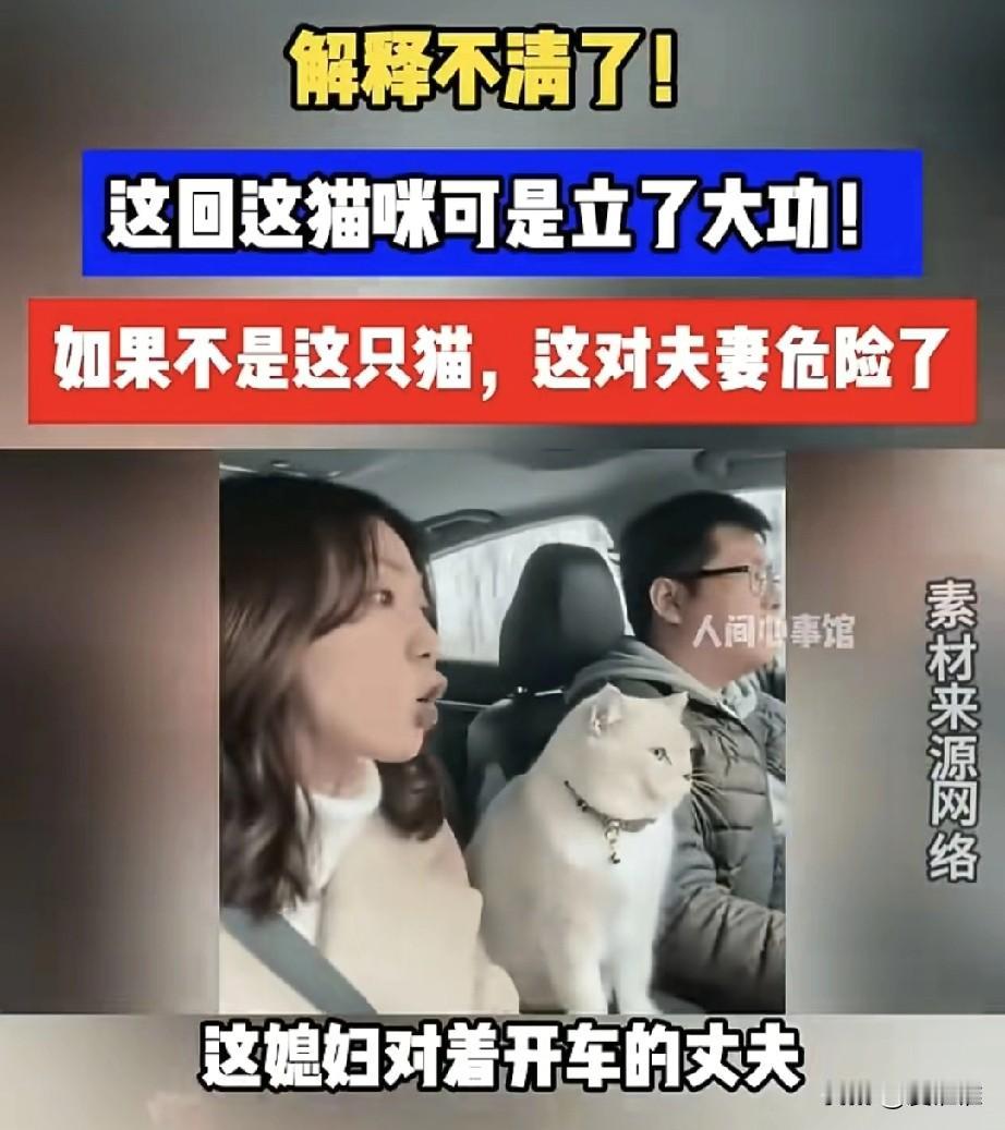 一对夫妻开车回老家，路上妻子为小事唠唠叨叨不停，丈夫一声不吭的专心开车，没想到一