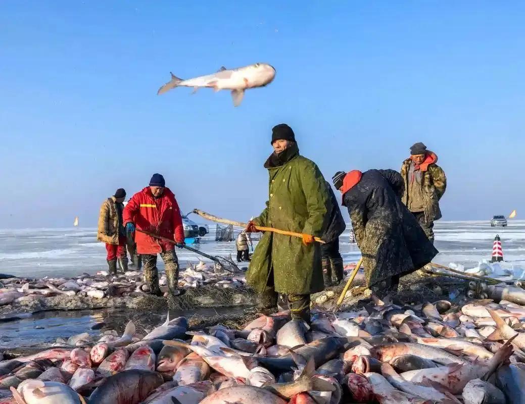 以下10个事物、事件，你们最相信哪一个？①江苏阳澄湖的大闸蟹②吉林查干湖的冬