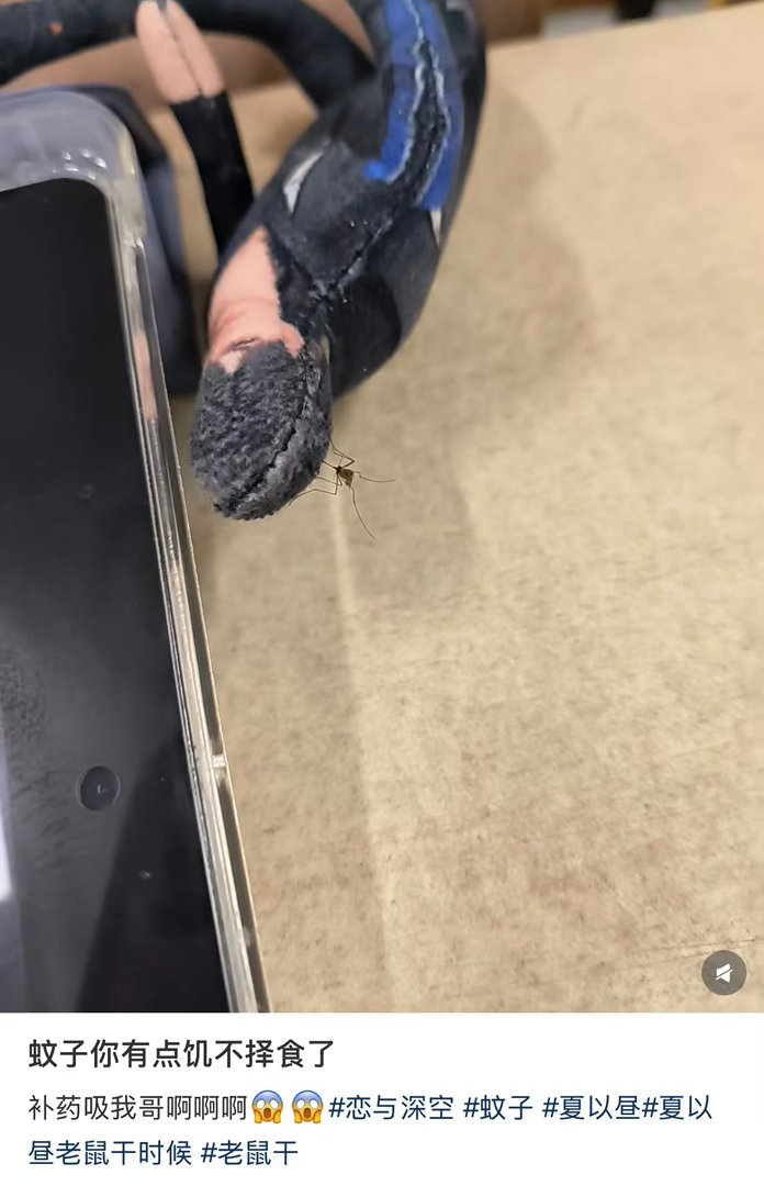 要吸就来吸我不要吸我家哥哥蚊子你有点饥不择食了爆笑段子研究所