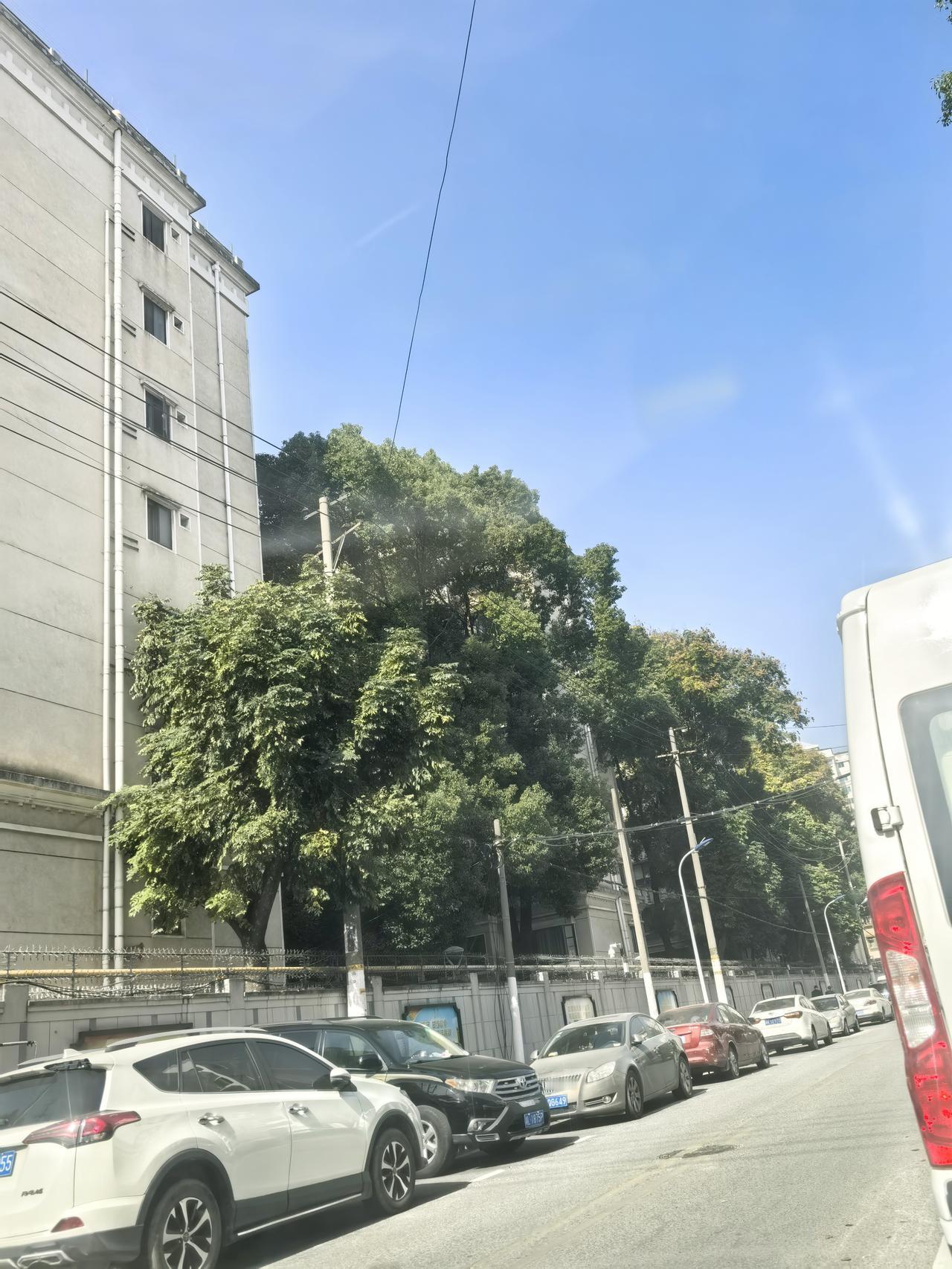 以前管理茶叶市场的时候，事情不是很多，办公室就十几个人，老板也不要求打卡什么的。