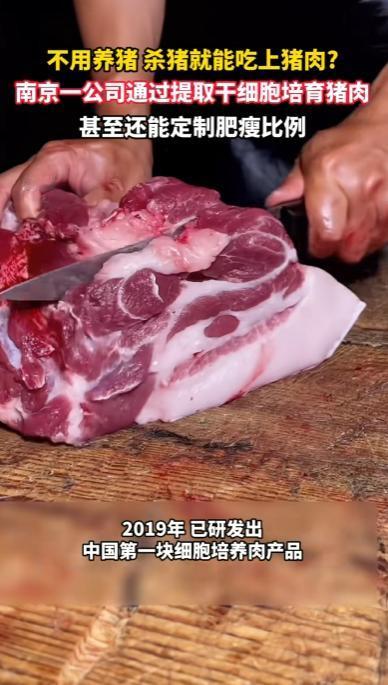 "又要变天？"南京一家公司用干细胞直接"造"出猪肉，7天出货、肥瘦随心定制，20