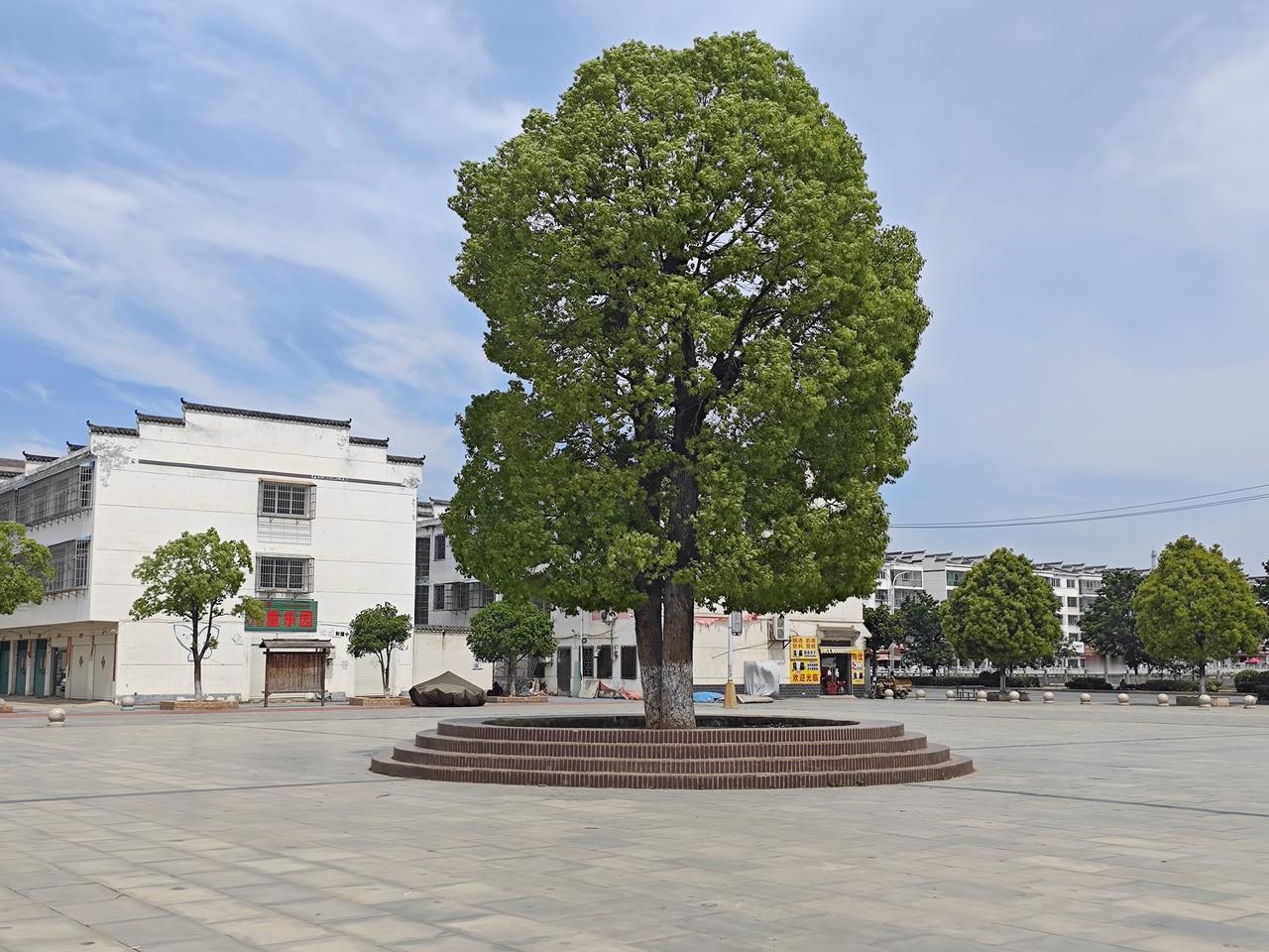 为什么同教龄同职称前些年退休养老金比近些年退休的要少很多？核心原因：2014年并