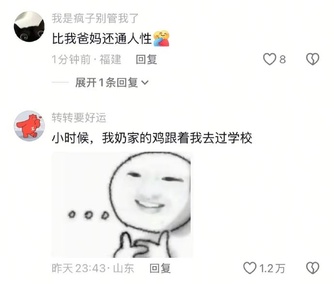 看到小狗,觉得有点熟悉的主人