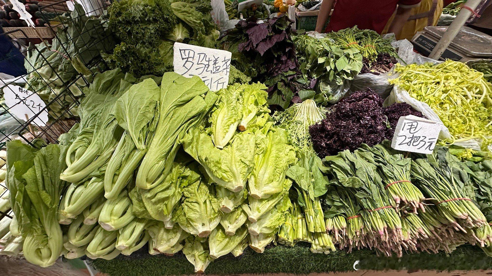 回家真好，菜市场里这许多的青菜看着就让人高兴，买哪个不买哪个真是很难取胜