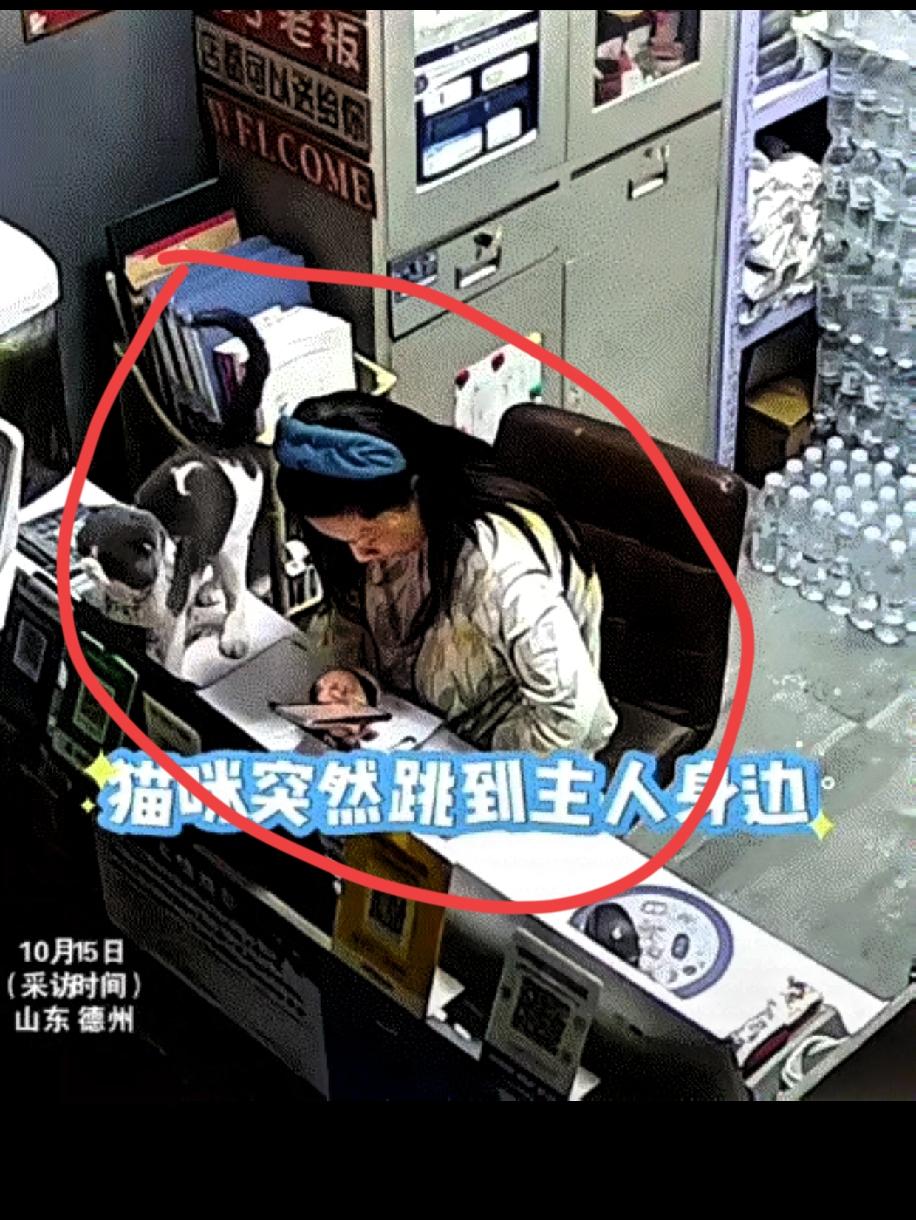 别再只说猫咪“有灵性”了！德州那只蹭完主人就心梗离世的猫，藏着的根本是跨越物种的