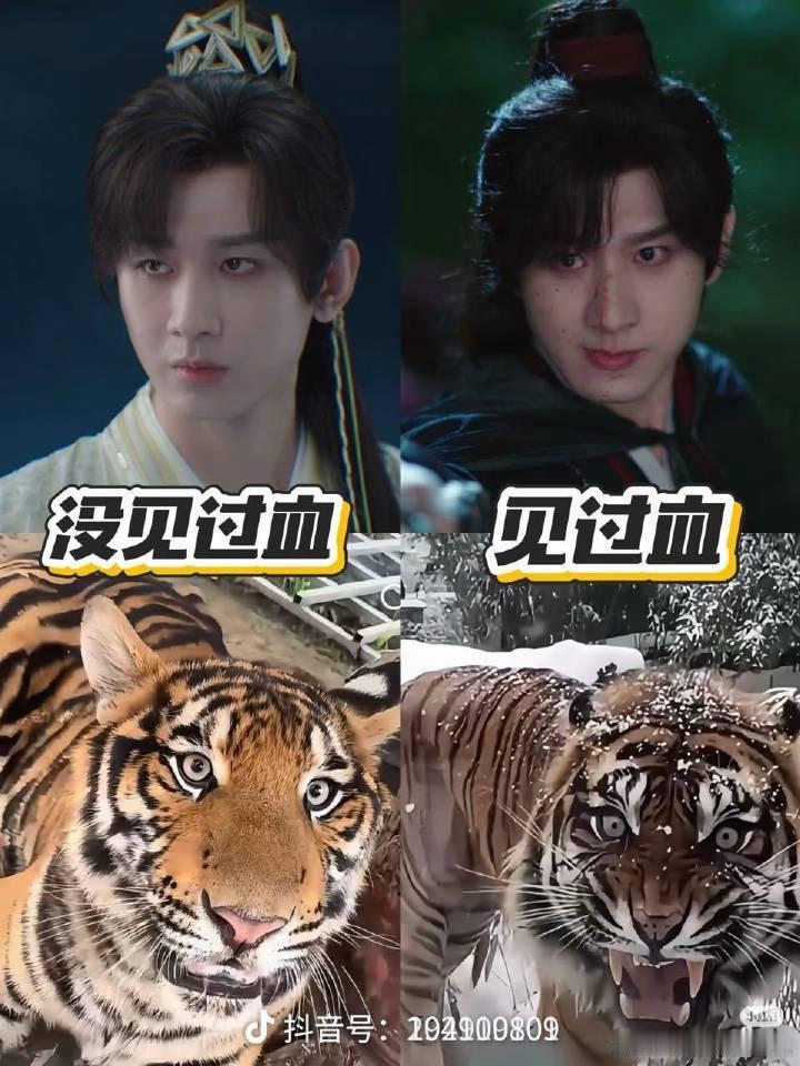 这些居然是控评的安利图​​​